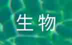 生物教师年度述职报告5篇