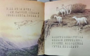 斑羚飞渡的教案7篇