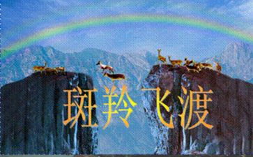 斑羚飞渡的教案优质8篇