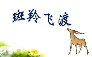 斑羚飞渡的教案模板8篇