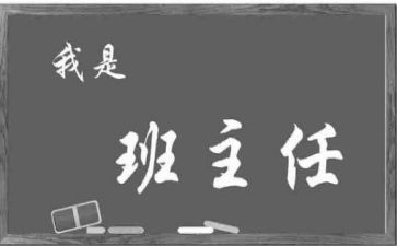 班主任自查报告范文8篇