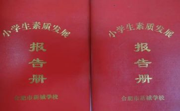 实践报告册总结优秀6篇