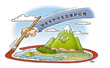 保护环境心得体会800字5篇