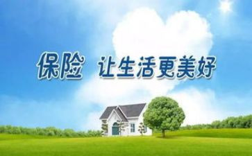 2023年保险公司述职报告模板7篇