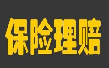 保险的个人述职报告8篇