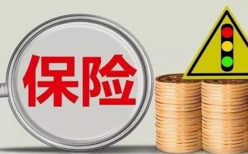 保险公司年终总结及明年计划8篇