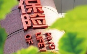 2024保险公司年终总结报告5篇