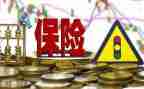 2023年保险公司个人总结模板5篇