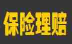 保险的个人述职报告8篇