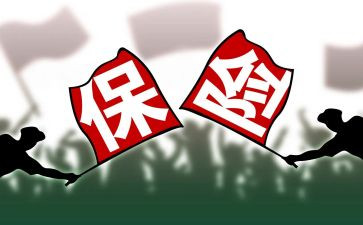 保险业务年终总结报告6篇