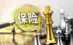 保险业务员的工作总结参考6篇