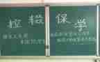 控辍保学自查报告5篇