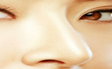 象鼻子桥教案参考8篇