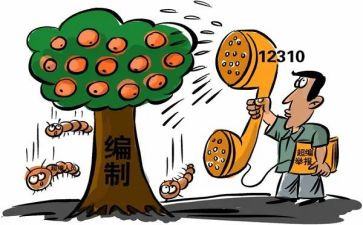 编制内自查报告8篇