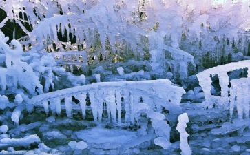 冰雪天气应急预案6篇