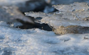 冰雪天气应急预案最新7篇