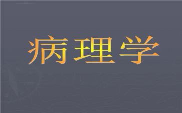 病理科工作计划6篇