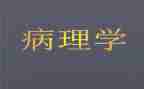病理科工作计划6篇
