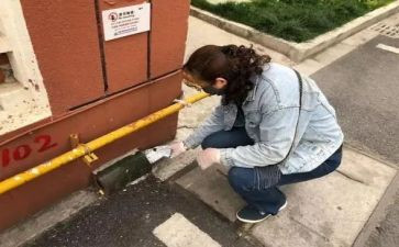 乡病媒生物防制工作计划5篇