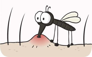 病媒生物工作计划7篇