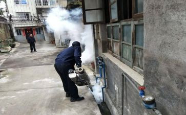 病媒防治工作计划7篇
