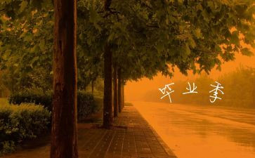 拍毕业照活动总结7篇