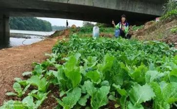 湘菜文化调查报告7篇