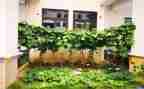 蔬菜营养多中班教案5篇