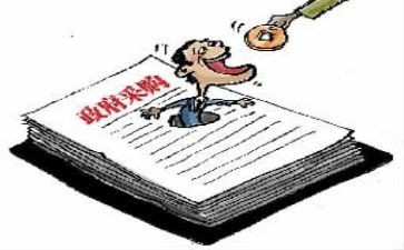 2022年采购个人年终总结6篇