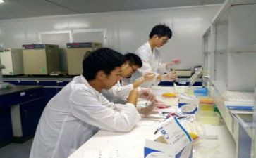材料班实习报告模板推荐7篇