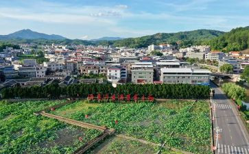 才溪调研报告模板6篇