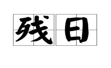 残联助残日活动总结5篇
