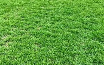 2024年烟草述职述廉报告5篇