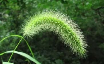 《草船》读后感精选6篇