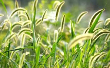 《草船》读后感推荐6篇