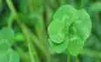蒙草企业调研报告优秀7篇