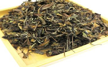 茶艺培训心得体会范文5篇