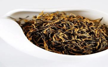 藏茶的调研报告7篇