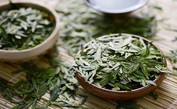 茶经读后感200字6篇