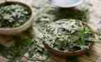 茶经读后感300字优质6篇