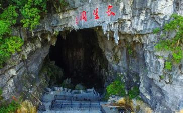 我的长生果读后感7篇