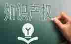 保护知识产权的演讲稿8篇