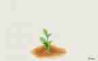 成长作文600字范文最新8篇