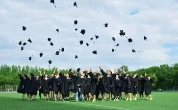 大班数学10的分解与组成教案5篇