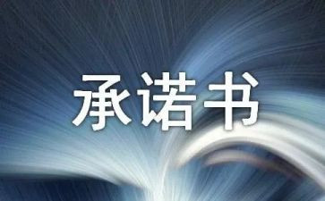个人承诺书范文模板5篇