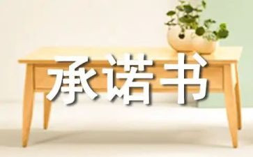 工程维修承诺书7篇
