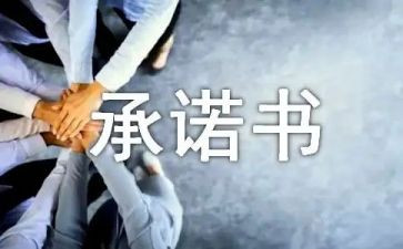 个人整改措施承诺书5篇