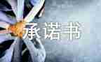 个人整改措施承诺书5篇