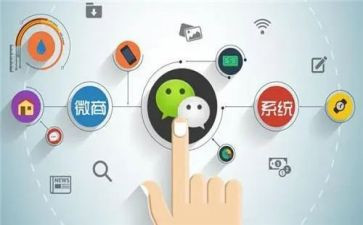 程序员转正申请书6篇