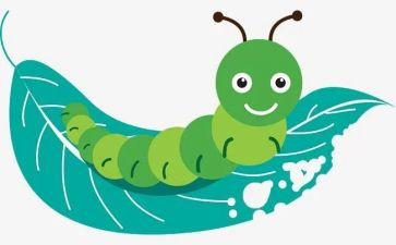 调查虫的报告作文优秀6篇